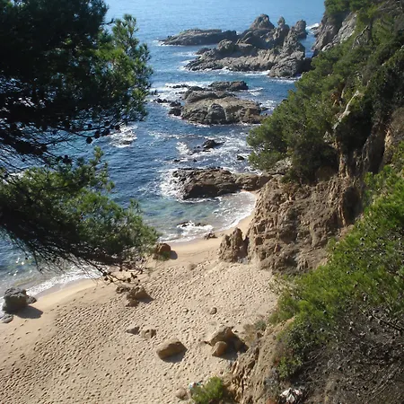 - El Amigo Lloret de Mar