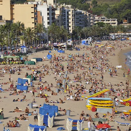 Affittacamere - El Amigo *