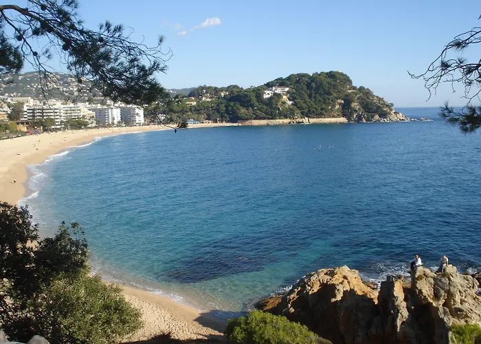 Vendégház - El Amigo