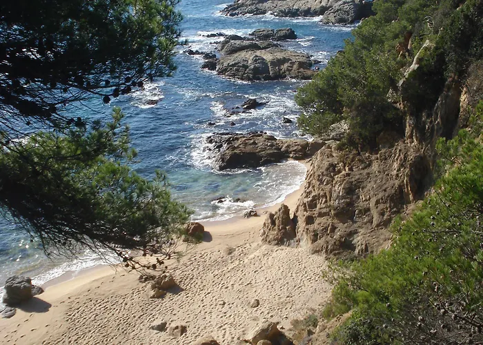 - El Amigo Lloret de Mar