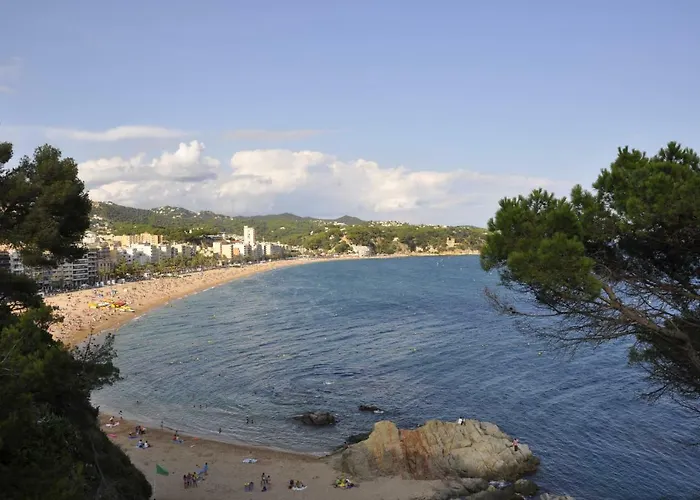 - El Amigo * Lloret de Mar