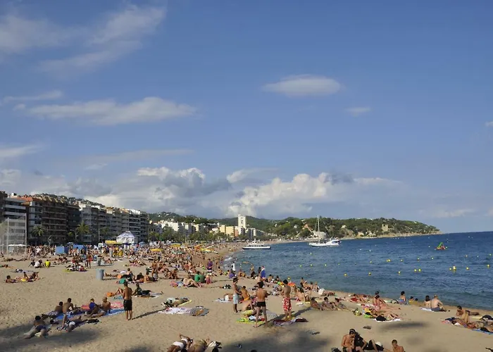 - El Amigo リョレート・デ・マル